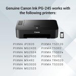 Canon PG-245 Black Ink Cartridge for Select Printers