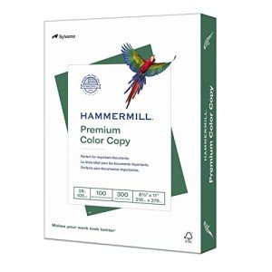 Premium Color Printer Paper, 28 lb, 300 Sheets