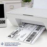 PrintWorks Perforated Half Sheet Paper, 2500 Count