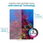 HP Office 20 lb Paper, 2500 Sheets, 92 Bright