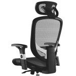 Hyken Ergonomic Mesh Task Chair - Adjustable Comfort