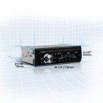 Sound Storm Laboratories ML46DB Car Stereo System