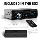 Sound Storm Laboratories ML46DB Car Stereo System