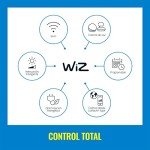 WiZ 40W Color LED Smart Candle Bulb
