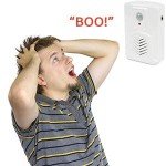SierraTeck Motion Activated Voice Player with Microphone