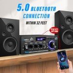 Daakro AK45 300W Bluetooth Stereo Amplifier System