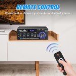 Daakro AK45 300W Bluetooth Stereo Amplifier System