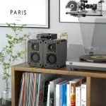 RIOWOIS Passive Bookshelf Speakers for Home Theater