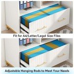 White Lateral File Cabinet with Open Storage Spaces