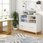 White Lateral File Cabinet with Open Storage Spaces