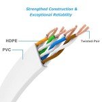 Ercielook 100ft Cat 6 High-Speed Ethernet Cable