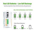 EBL 5000mAh Rechargeable C Batteries, 6-Pack