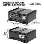 1500W Class D Mono Block Amplifier with Remote Control