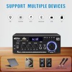 WOOPKER AK45 Pro 2.0 Channel Home Amplifier