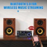 WOOPKER AK45 Pro 2.0 Channel Home Amplifier