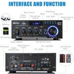 WOOPKER AK45 Pro 2.0 Channel Home Amplifier