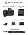 Canon EOS R6 Mark II Mirrorless Camera Body