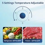 BANGSON 7.7 Cu.Ft Top Freezer Refrigerator, Silver