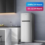 BANGSON 7.7 Cu.Ft Top Freezer Refrigerator, Silver