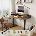 Height Adjustable Electric Standing Desk with Drawers