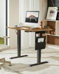 Marsail Electric Adjustable Height Standing Desk 55x24