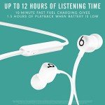 Beats Flex Wireless Earbuds with 12-Hour Battery