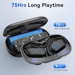 Bluetooth Wireless Earbuds with 75Hrs Playtime and Noise Cancellation