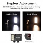 VL-81 Bi-Color LED Video Light with Softbox