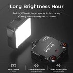 VL-81 Bi-Color LED Video Light with Softbox