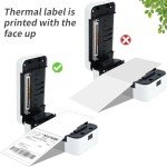 4"x6" Direct Thermal Perforated Shipping Labels - 500 Count