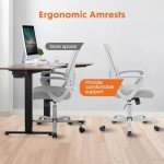 Ergonomic Rolling Office Chair with Lumbar Support