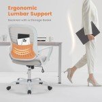 Ergonomic Rolling Office Chair with Lumbar Support