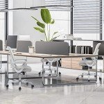 Ergonomic Rolling Office Chair with Lumbar Support