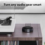 WiiM Mini AirPlay 2 Wireless Audio Streamer