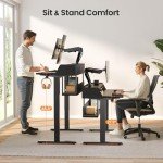 ErGear 48" Electric Height Adjustable Standing Desk