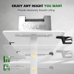 Furmax Height Adjustable Electric Standing Desk