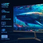 SANSUI 24” FHD IPS Monitor with Built-in Speakers