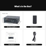 Bluetooth Stereo Receiver & Amplifier for Home Audio