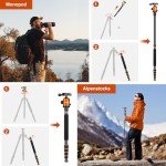 Heavy Duty 85" Tripod for Cameras and Phones