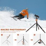 Heavy Duty 85" Tripod for Cameras and Phones