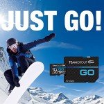 TEAMGROUP GO 256GB Micro SDXC Card for 4K Cameras