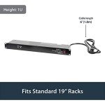 8 Outlet Rack Mount Power Strip with Surge Protection