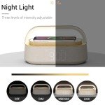 FREEFISH Bluetooth Speaker with Wireless Charger & Light