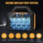 300W Portable Solar Generator with 100W Panel