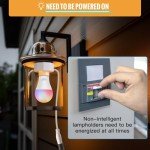 Light Socket Adapter for Smart Bulbs (2-Pack)