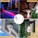 Light Socket Adapter for Smart Bulbs (2-Pack)