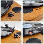 Popsky Bluetooth 3-Speed Vinyl Record Player