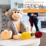 Voice Recorder for Stuffed Animals - 70+ Songs