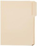 Amazon Basics 1/3-Cut Tab File Folders, 100-Pack