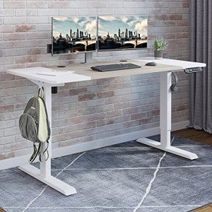 Radlove 55" Electric Height Adjustable Standing Desk